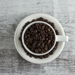 cafe-porcelain-professional-presentation